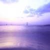 ماكينة اسبريسو بريفيل باريستا - Image 3